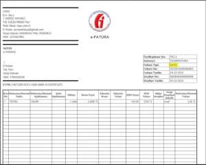 e-fatura nedir