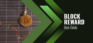 Bitcoin blok ödülü nasıl alınır 