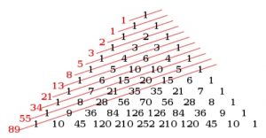 Fibonacci nedir