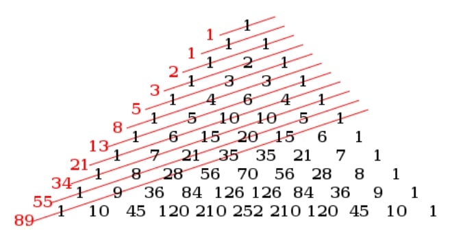 Fibonacci nedir