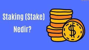 Stake (Staking) nedir