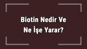 biotin (H Vitamini) nedir? Ne işe yarar