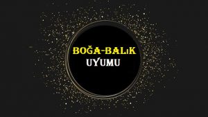 Balık Burcu ve Boğa Burcundan Oluşan Bir Aşk İlişkisi Yürütülebilir mi