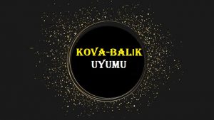 Balık Burcu ve Kova Burcundan Oluşan Bir Aşk İlişkisi Yürütülebilir mi