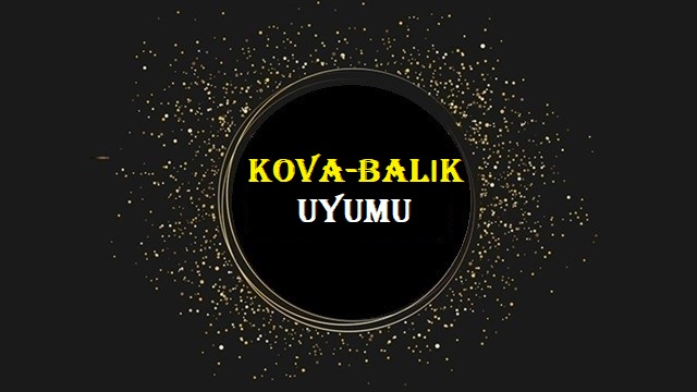 Balık Burcu ve Kova Burcundan Oluşan Bir Aşk İlişkisi Yürütülebilir mi