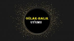 Balık Burcu ve Oğlak Burcundan Oluşan Bir Aşk İlişkisi Yürütülebilir mi