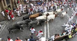 Boğa Festivali 