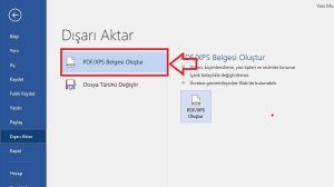 World PDF Dönüştürme Seçeneği Sorunu ve Çözümleri